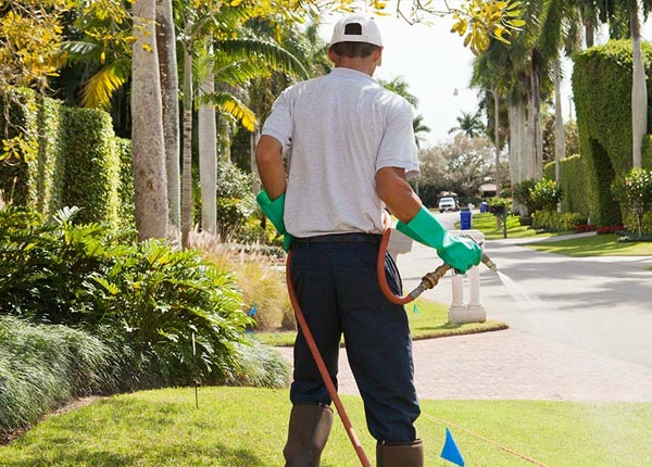 About Early Branch SC Pest Control Pros
